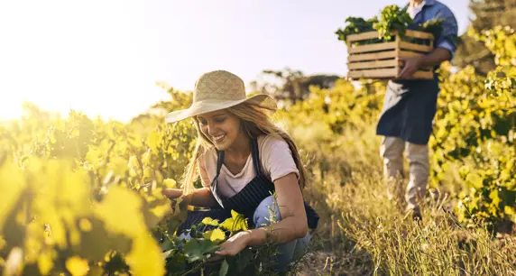 finanziamenti agricoltura 